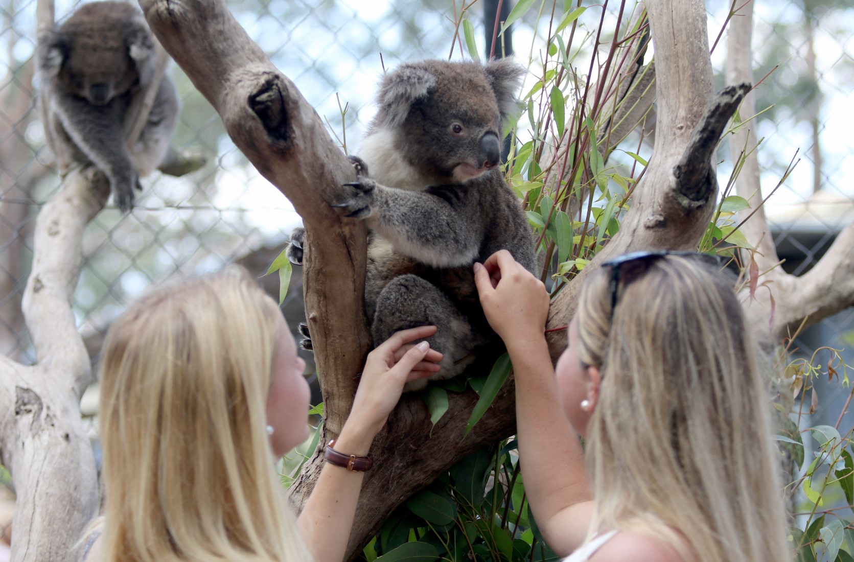 Shoalhaven Zoo for Shoalhaven Itinerary