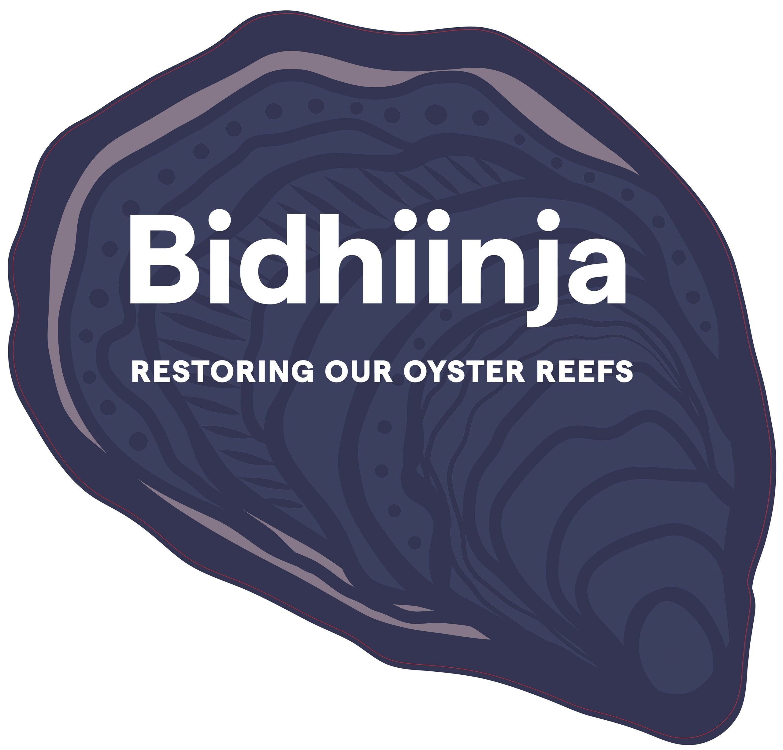 Touring exhibition – Bidhiinja: restoring our oyster reefs.
